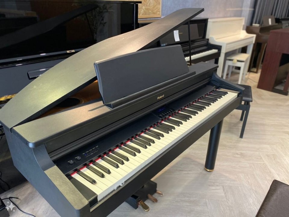 Roland RG-1 - Ảnh thực tế 3